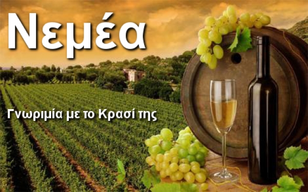 Πλάκα Κερατέας 2014 - Εκδρομή στη Νεμέα